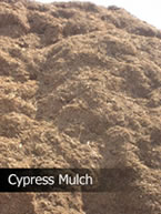 cypress mulch