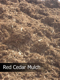 red cedar mulch